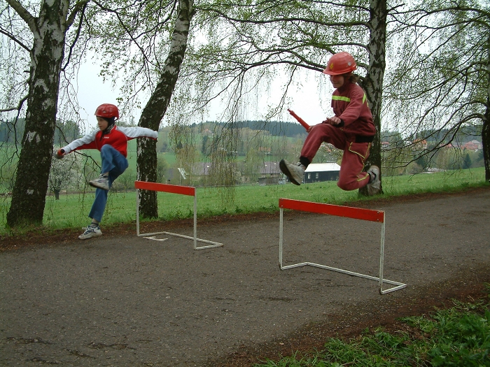 img00008.jpg