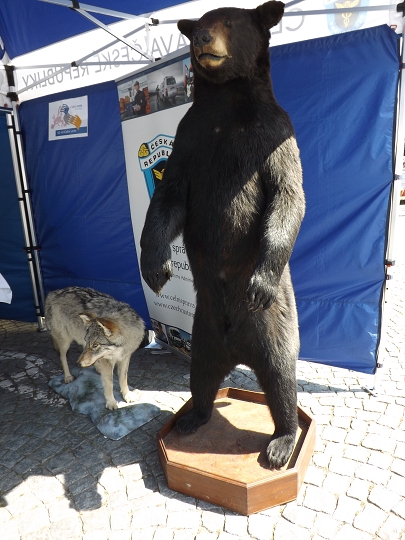 img00013.jpg