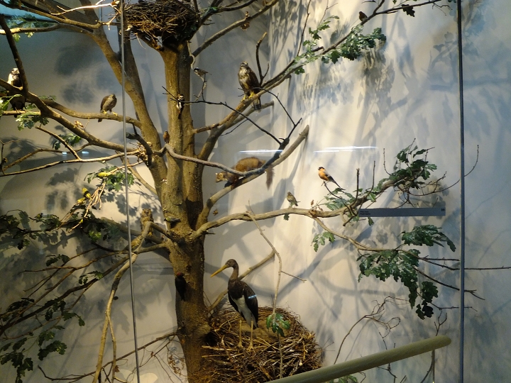 img00004.jpg