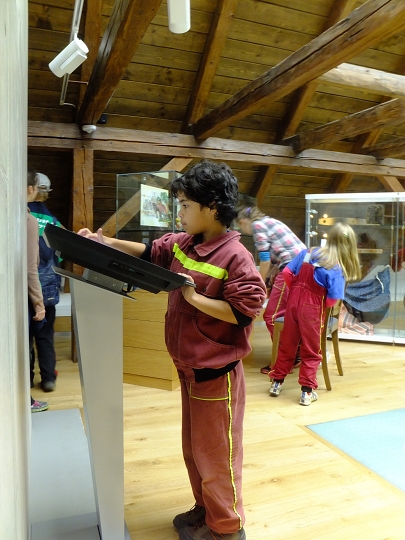 img00012.jpg