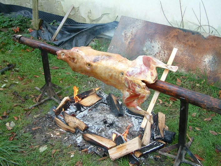 img00007.jpg
