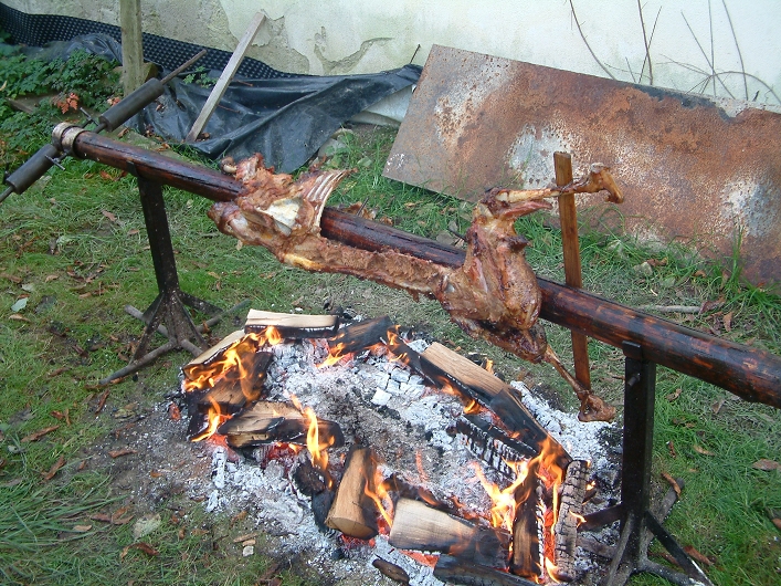 img00009.jpg
