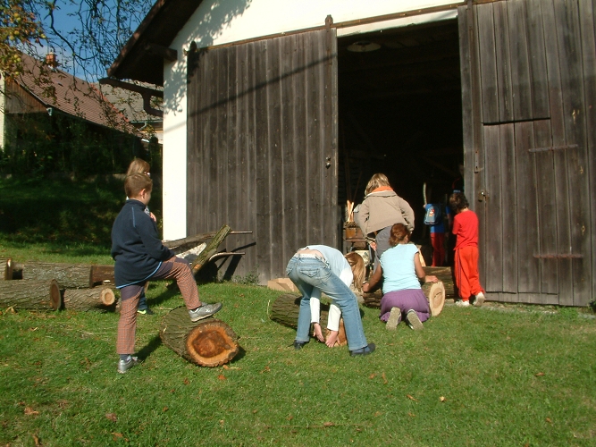 img00005.jpg