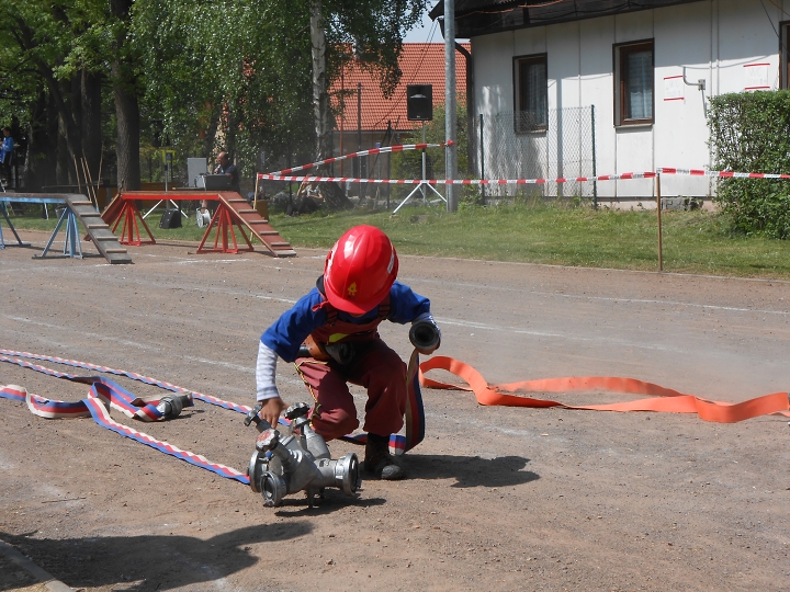 img00012.jpg