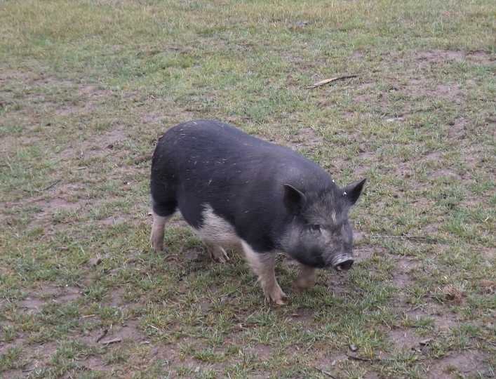 img00019.jpg