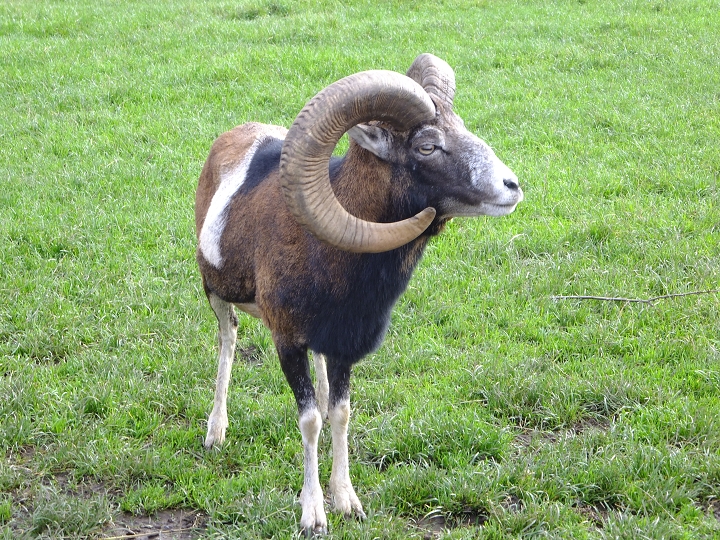 img00001.jpg