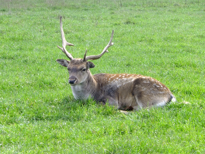 img00002.jpg