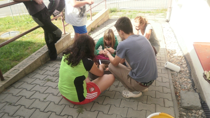 img00017.jpg