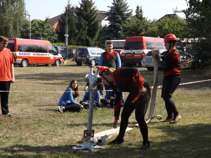 img00008.jpg