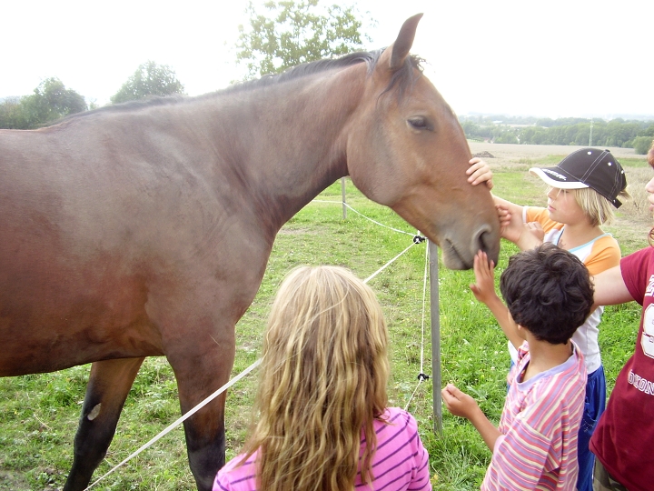 img00006.jpg