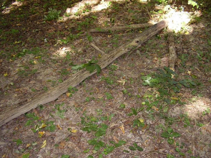 img00007.jpg