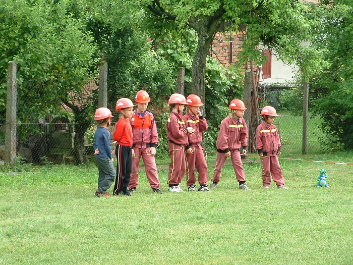 img00010.jpg