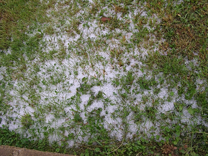 img00028.jpg