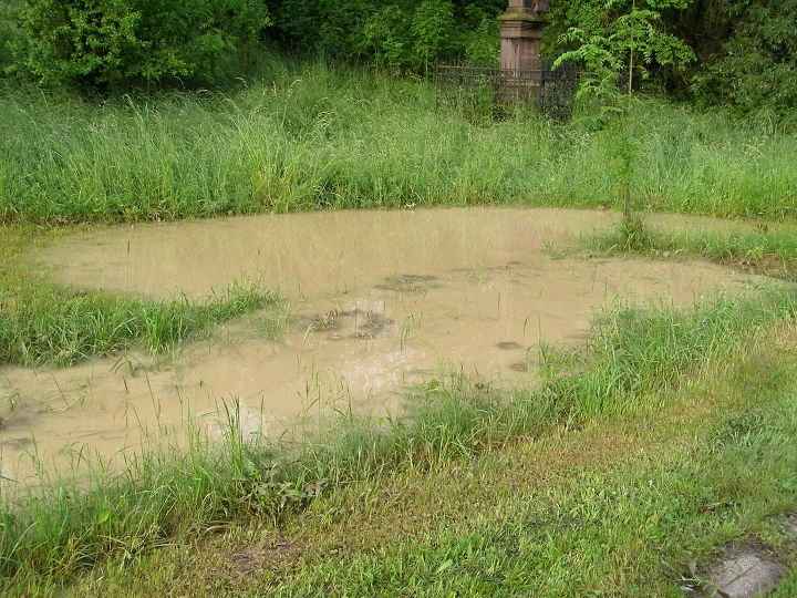 img00030.jpg