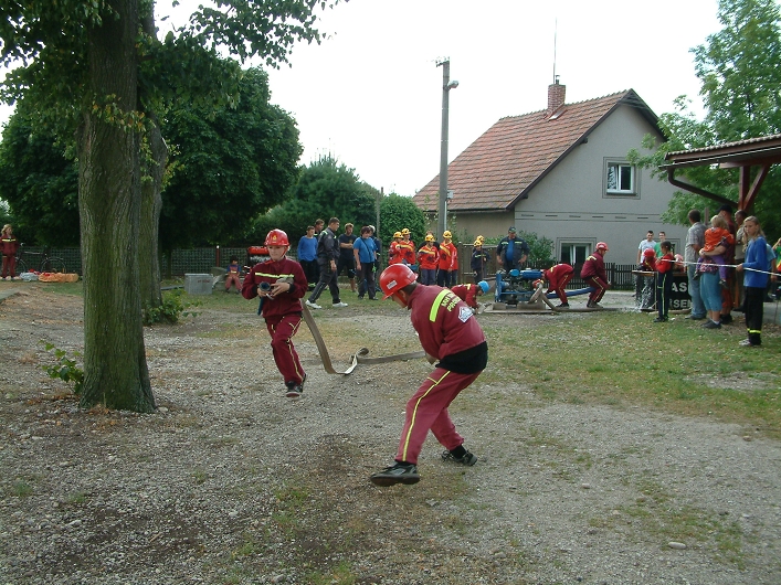 img00011.jpg