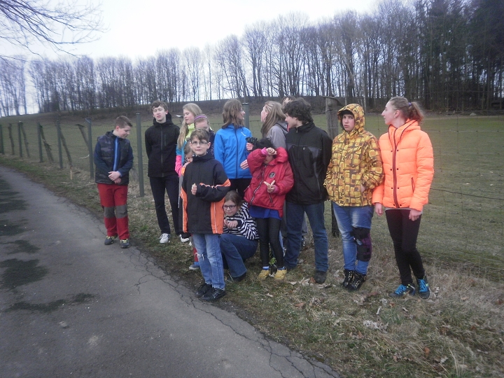 img00007.jpg