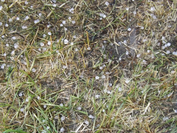 img00001.jpg