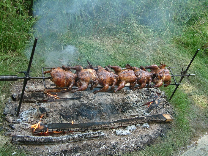 img00020.jpg