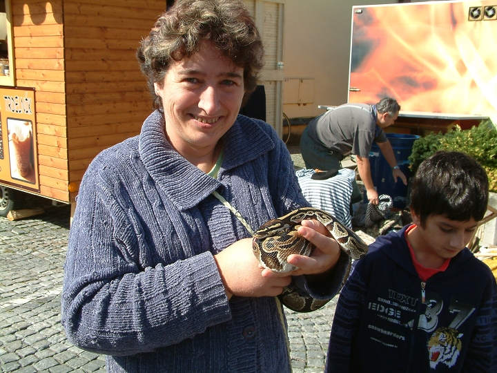 img00007.jpg