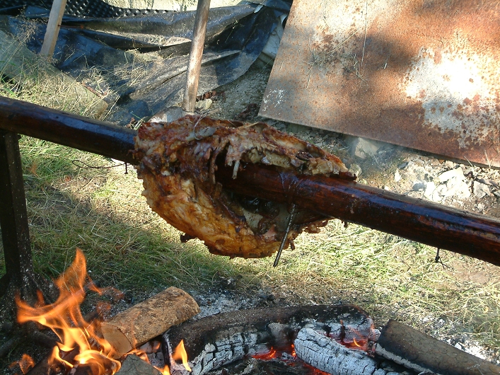 img00009.jpg