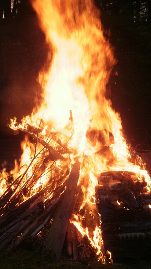 img00011.jpg