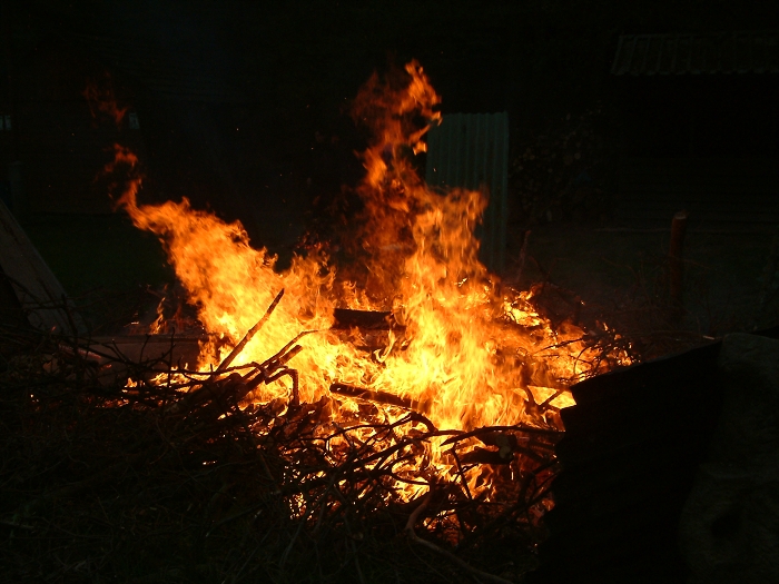 img00004.jpg
