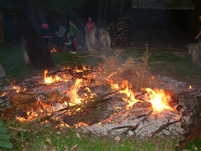 img00008.jpg