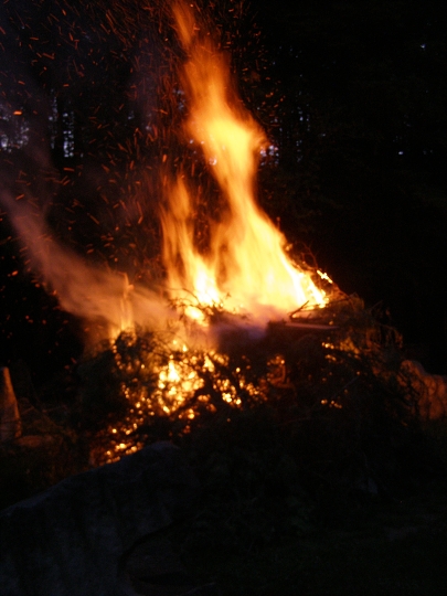 img00007.jpg