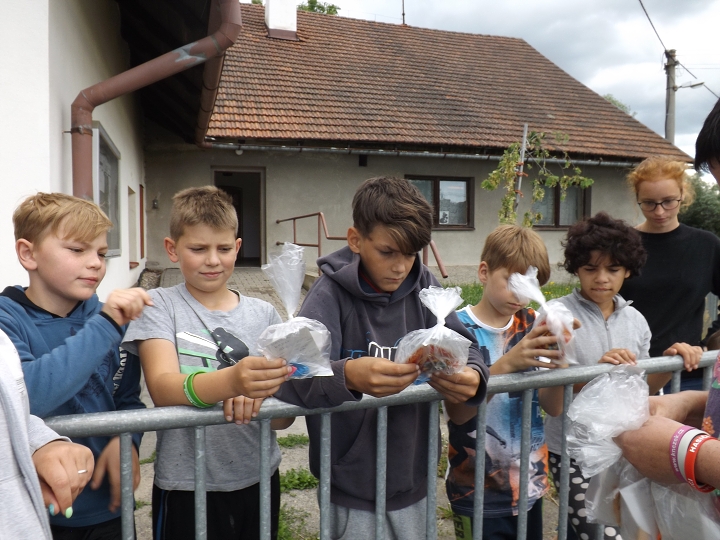 img00007.jpg
