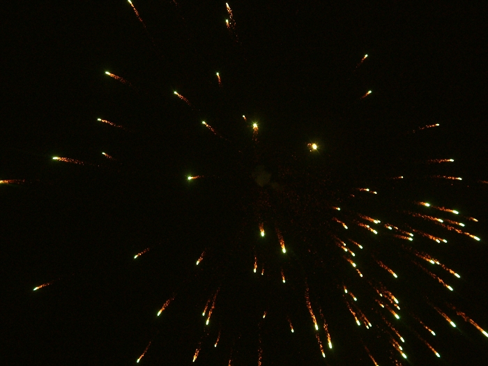 img00010.jpg