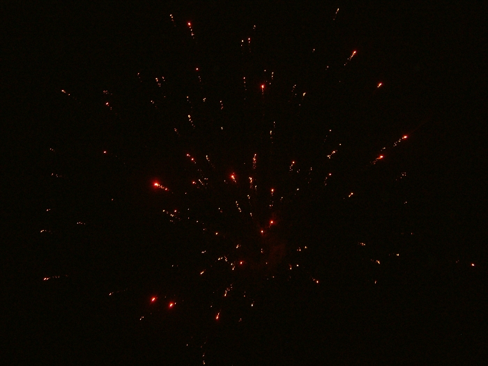 img00011.jpg