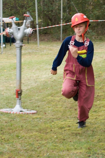 img00008.jpg