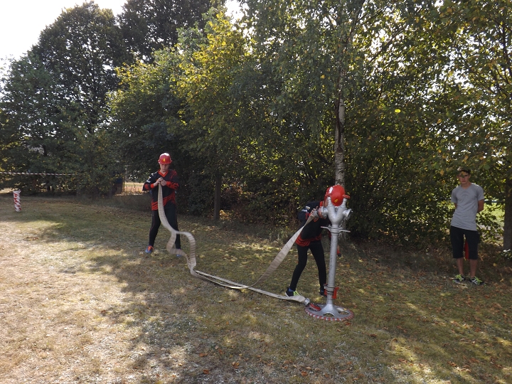 img00007.jpg