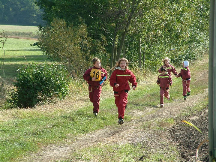 img00005.jpg