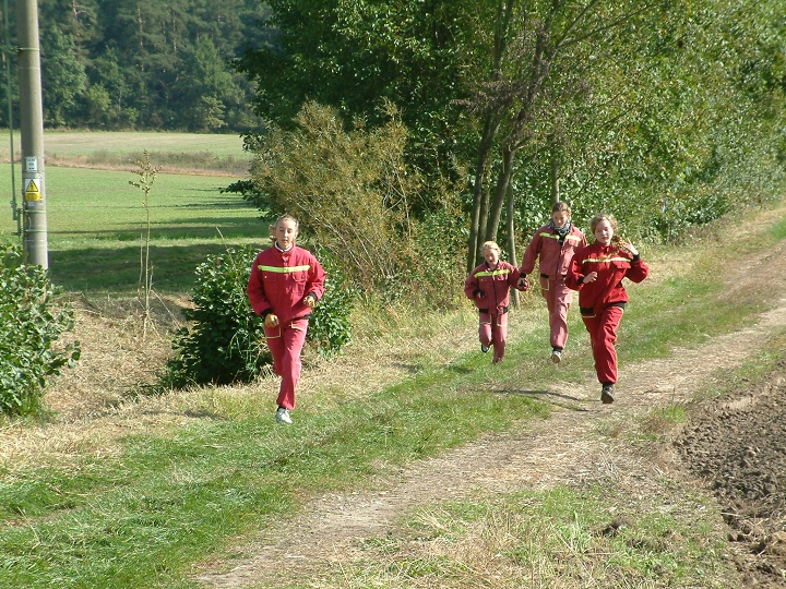 img00011.jpg