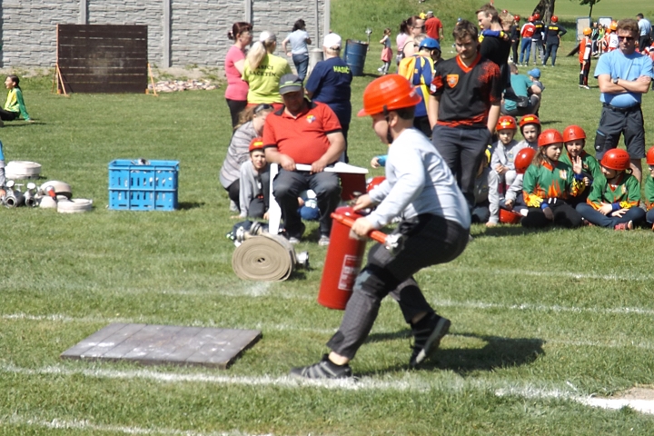 img00008.jpg