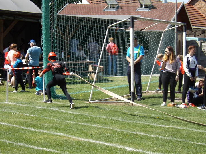 img00010.jpg