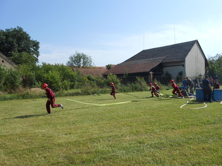 img00011.jpg