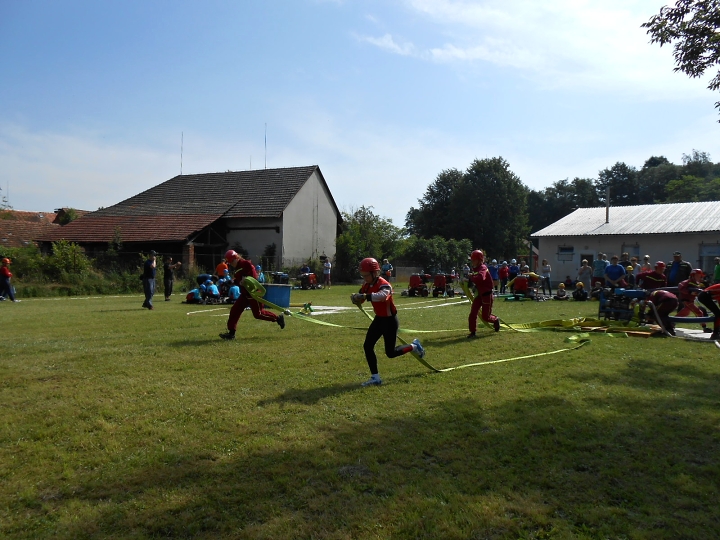img00017.jpg