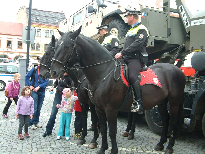 img00009.jpg