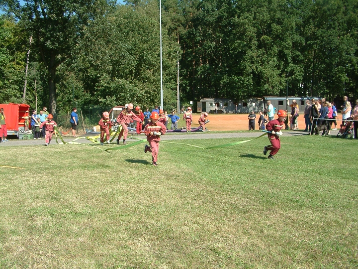 img00011.jpg