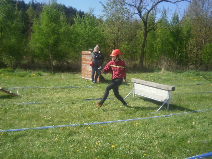 img00006.jpg