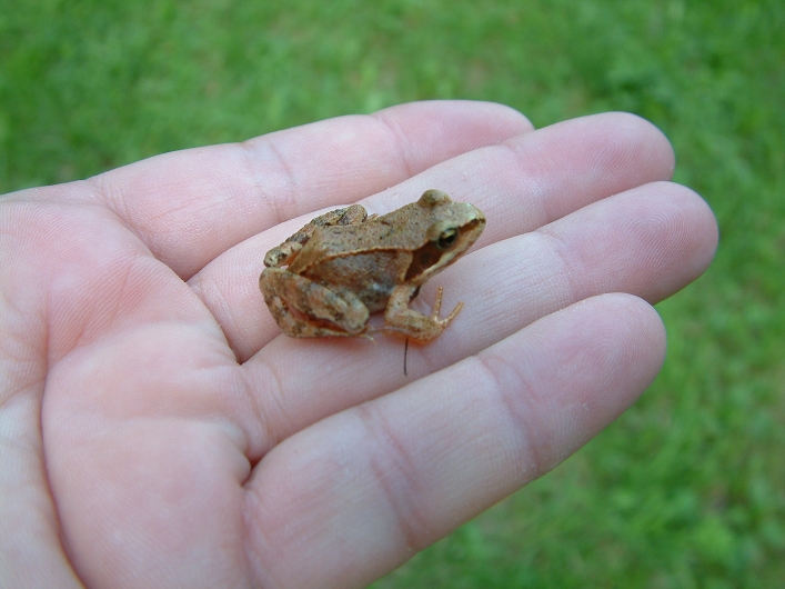 img00011.jpg